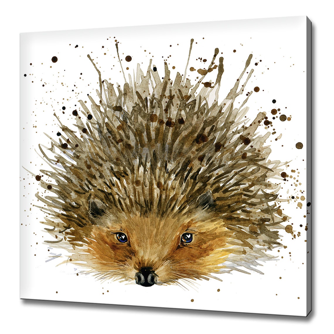 Cute Hedgehog Face Watercolor with Paint Splatter Woodland Art Poster