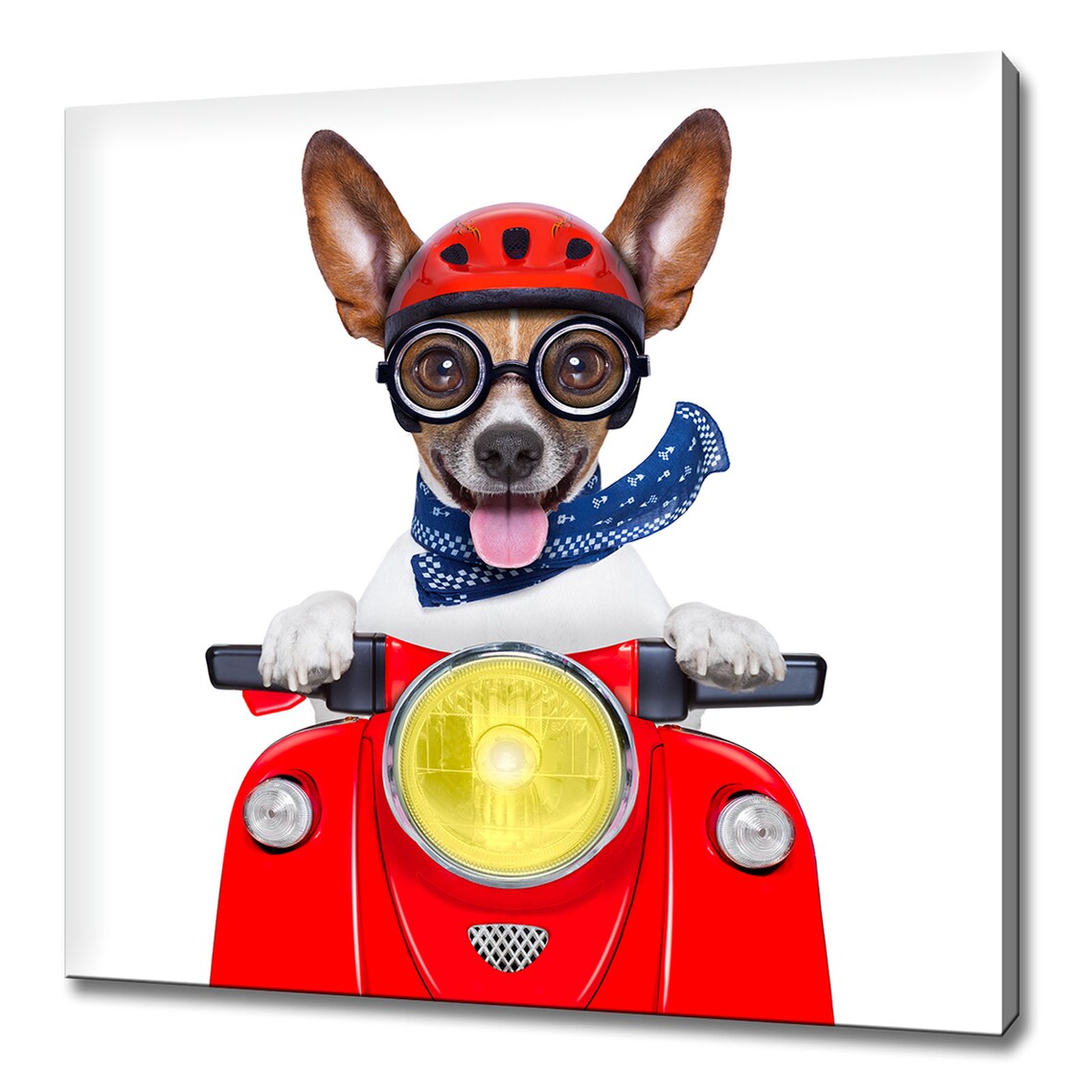 Silly Dog Wearing Red Helmet Goggles Riding Motorbike Funny Pet Poster