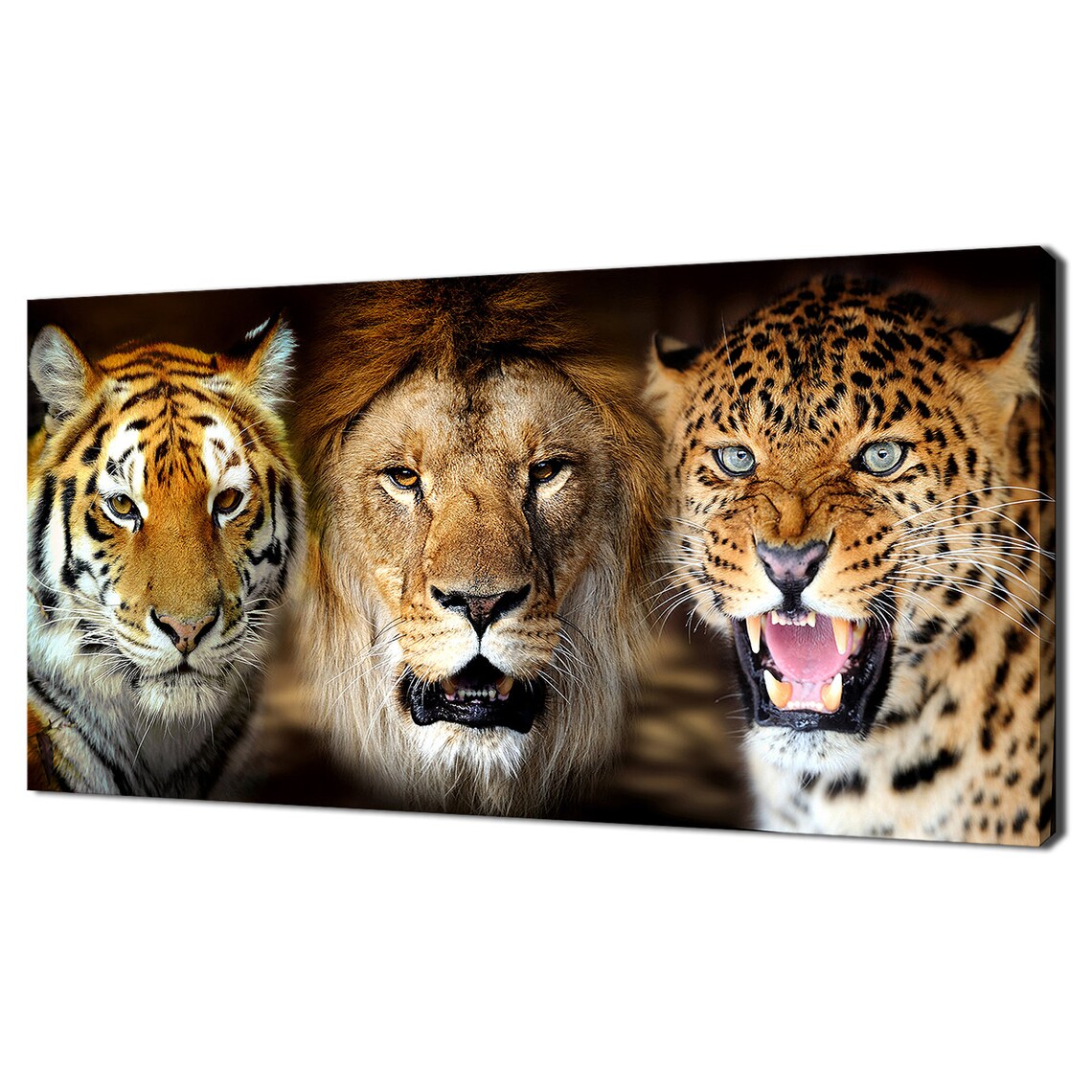 Fierce Tiger Lion Leopard Wild Big Cat Trio Portrait Wildlife Wall Art
