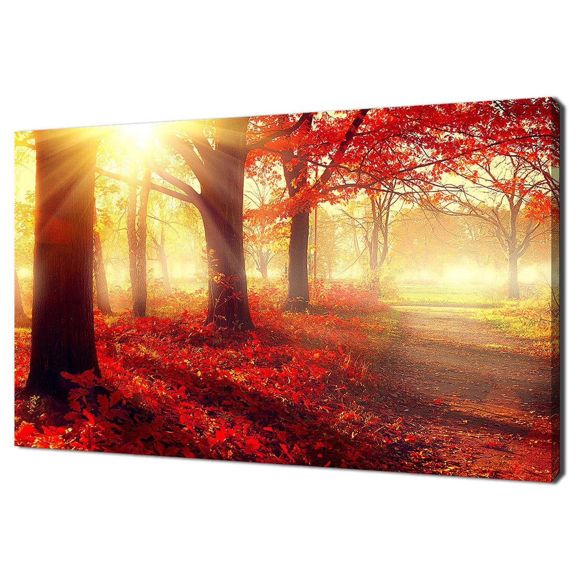 Red Autumn Forest Sunlight Park Path Fall Foliage Nature Wall Poster