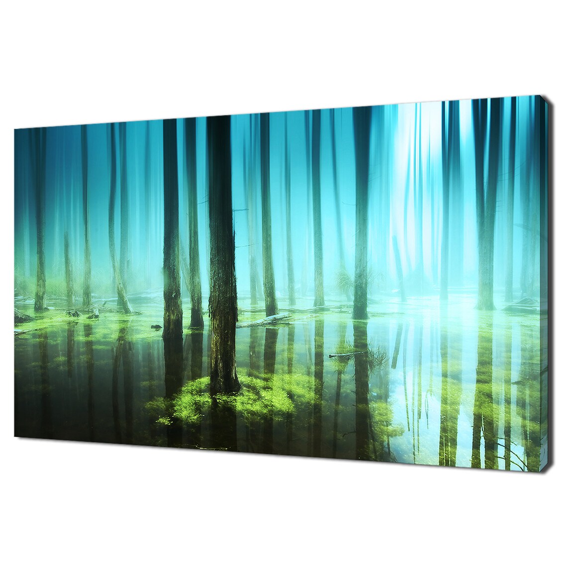 Beautiful Green Blue Flooded Forest Modern Design Home Decor Print Wall Art Picture