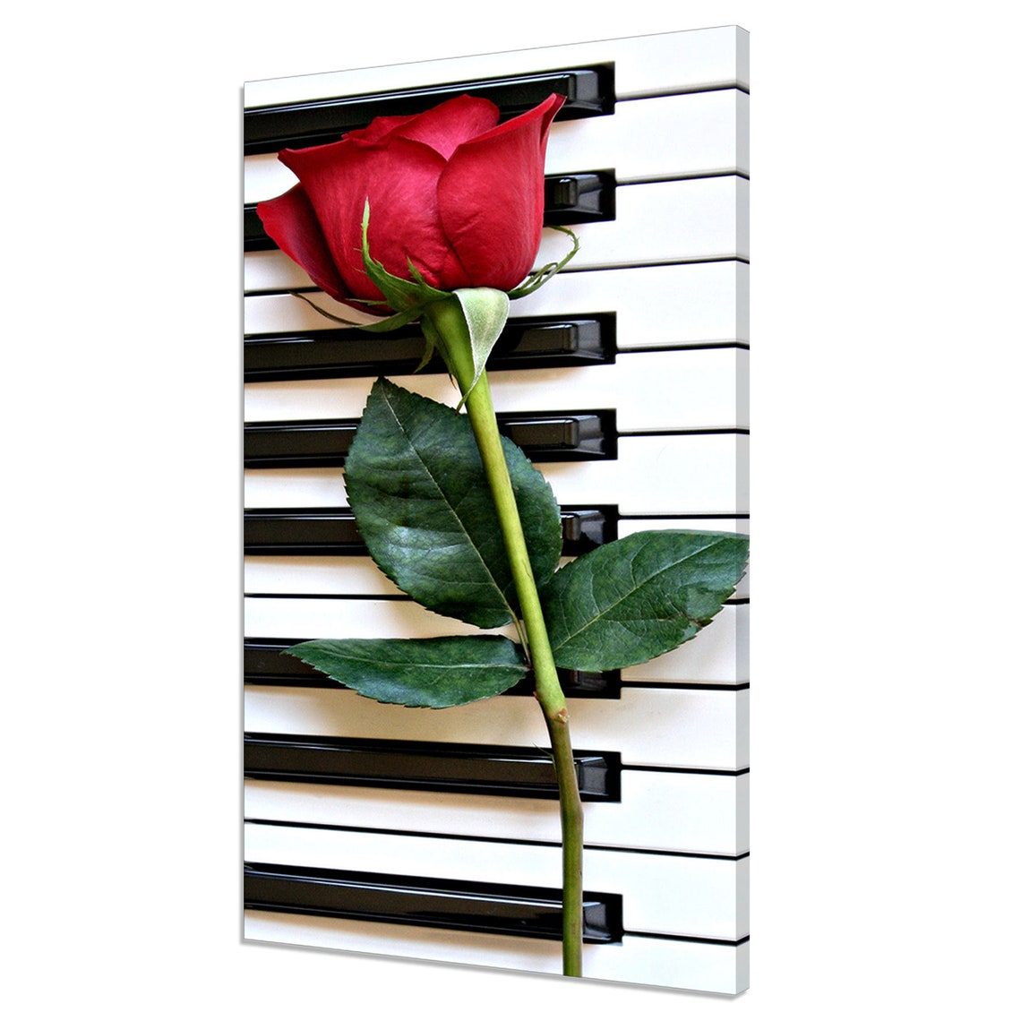 Red Rose On Piano Keys Romantic Music Love Flower Wall Poster
