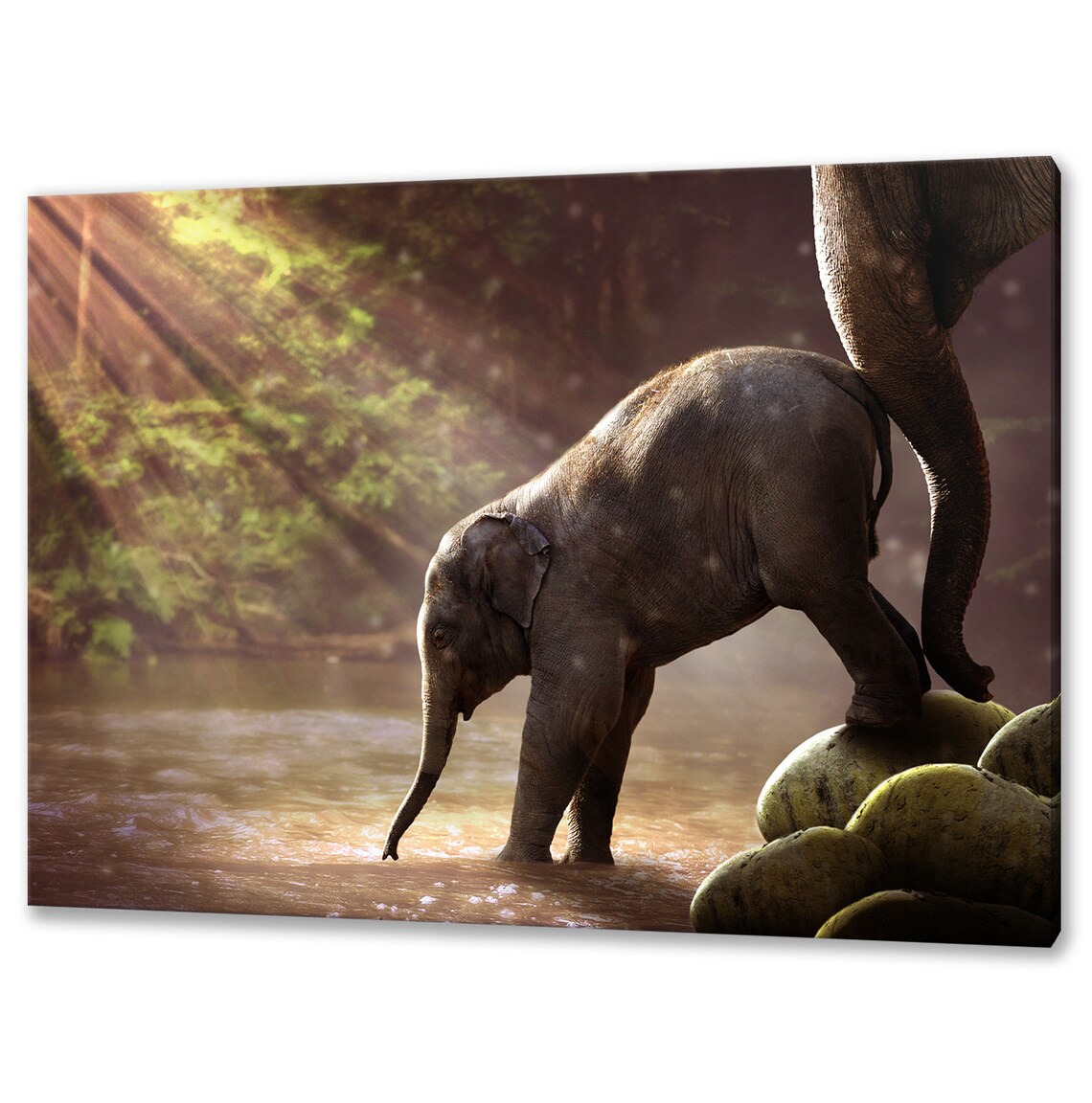 Baby Elephant Crossing River In Golden Sunlight Jungle Wildlife Wall Art