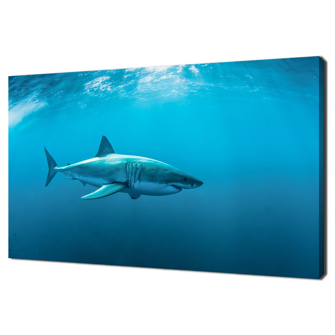 Great White Shark Under Blue Ocean, Modern Art Print