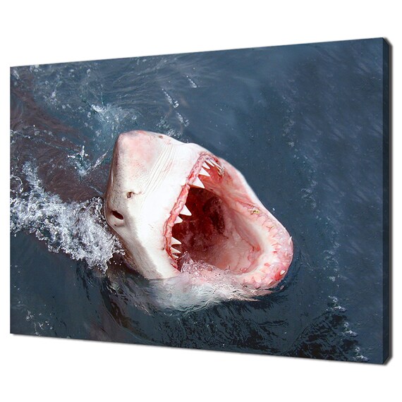 Great White Shark Jaws Open Ocean Predator Photography Art Poster