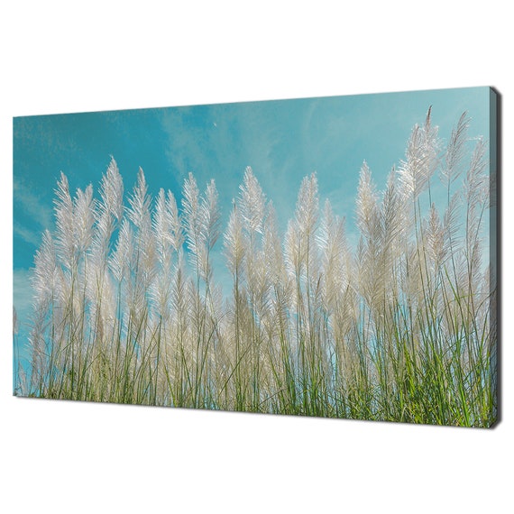 Beautiful Blue Sky Over Dry Grass Field Modern Design Print Wall Art Picture