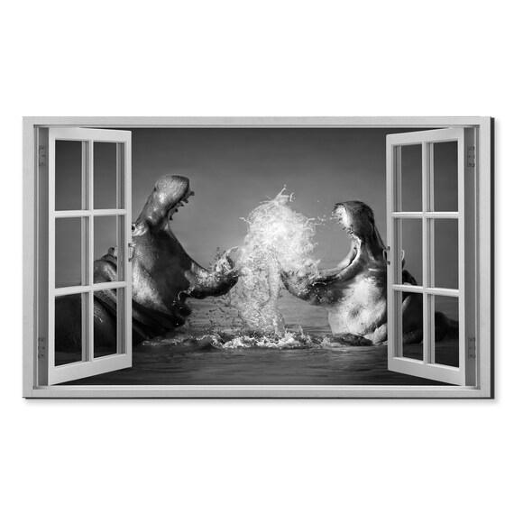 Two Hippos Fighting Water Splash Dramatic Black White Window View Wall Art Poster