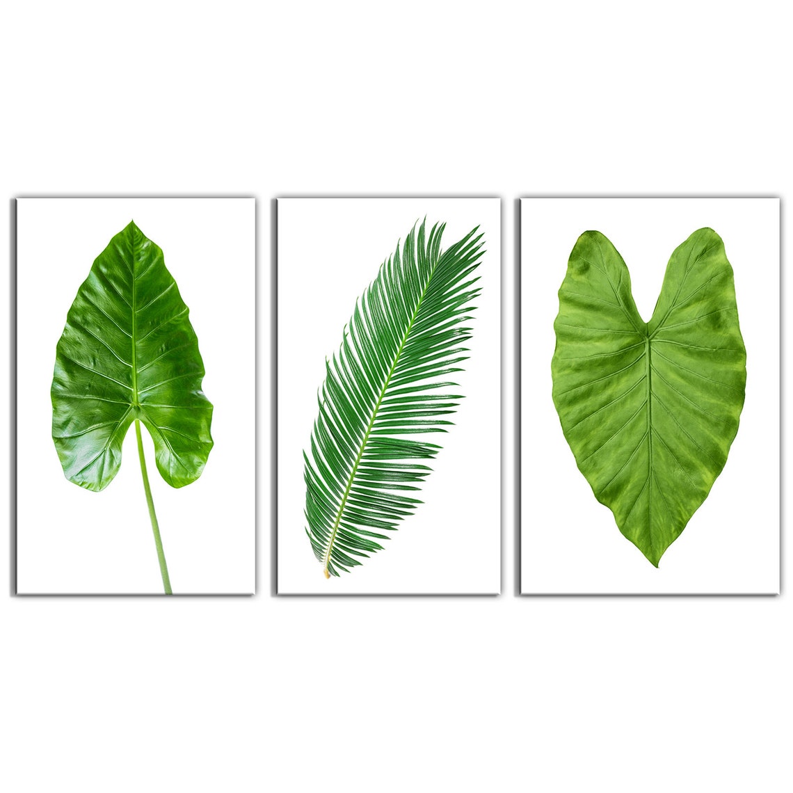 Minimalist Tropical Leaves Triptych Green Botanical Wall Art Poster