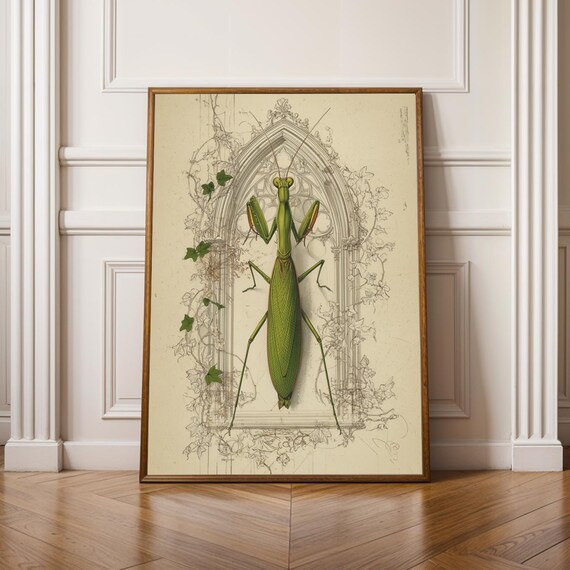 Dark Academia Insect Poster Praying Mantis Art Print Gothic Wall Decor Entomology Illustration Vintage Bug Artwork Halloween
