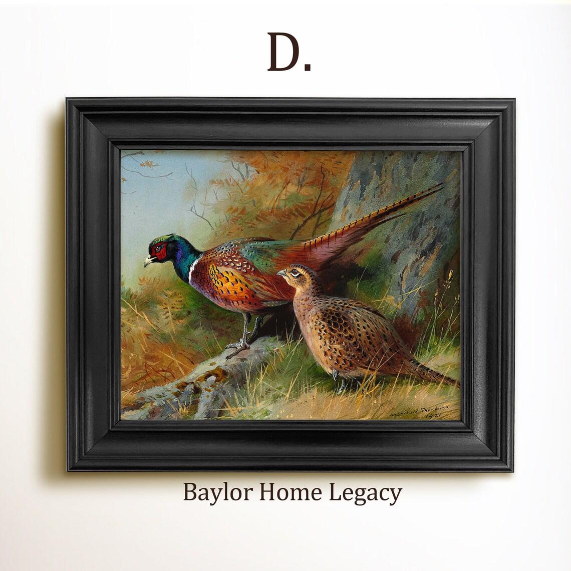 Ring-Neck Pheasants Vintage Landscape Art Print - Image 2