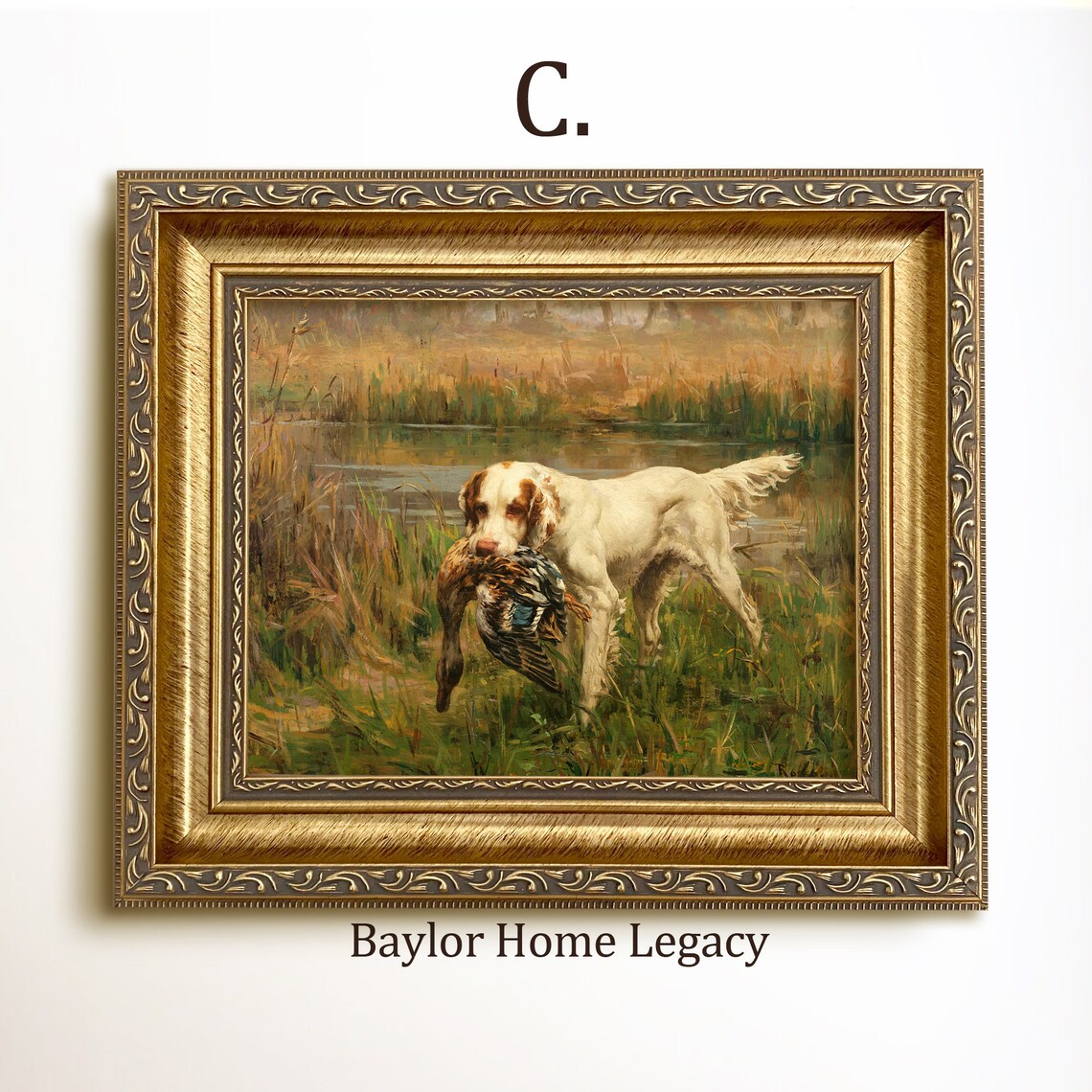 Pointer Retrieving Mallard, Vintage Hunting Scene Art Print - Image 4