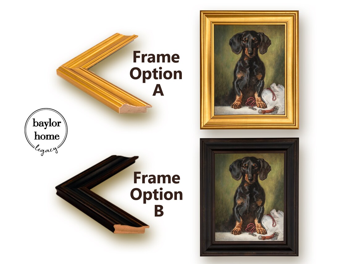 Black And Tan Dachshund Sitting With Leash Vintage Dog Portrait Poster - Image 5