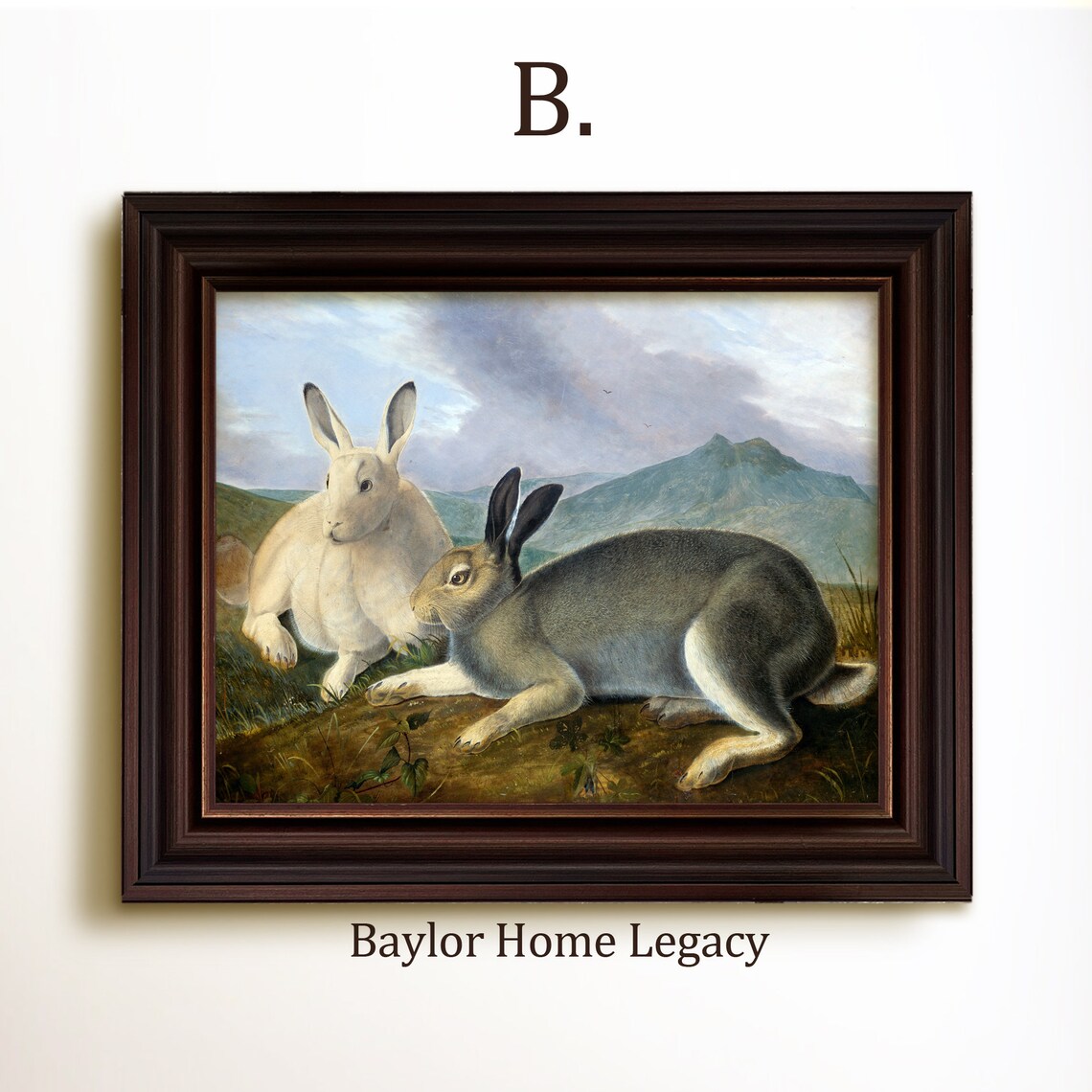 Two Hares Resting In Mountain Meadow Vintage Rabbit Wildlife Art Poster - Image 4