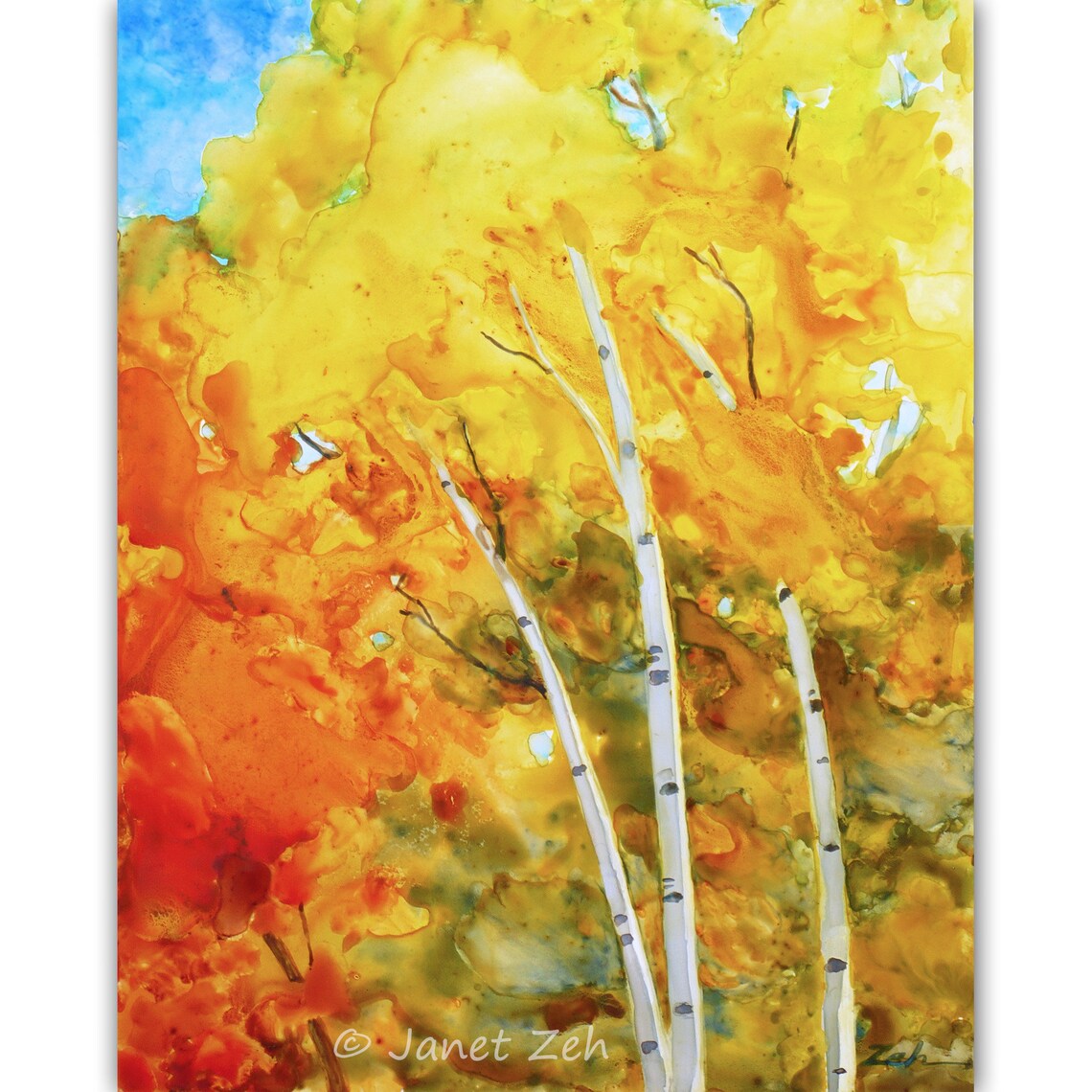 White Birch Trees Golden Autumn Foliage Watercolor Nature Art Poster