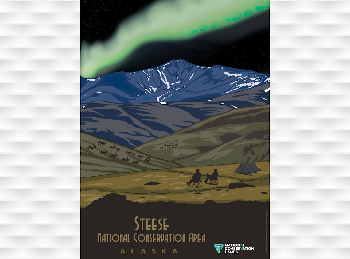 Steese Alaska National Conservation Area Northern Lights Travel Poster