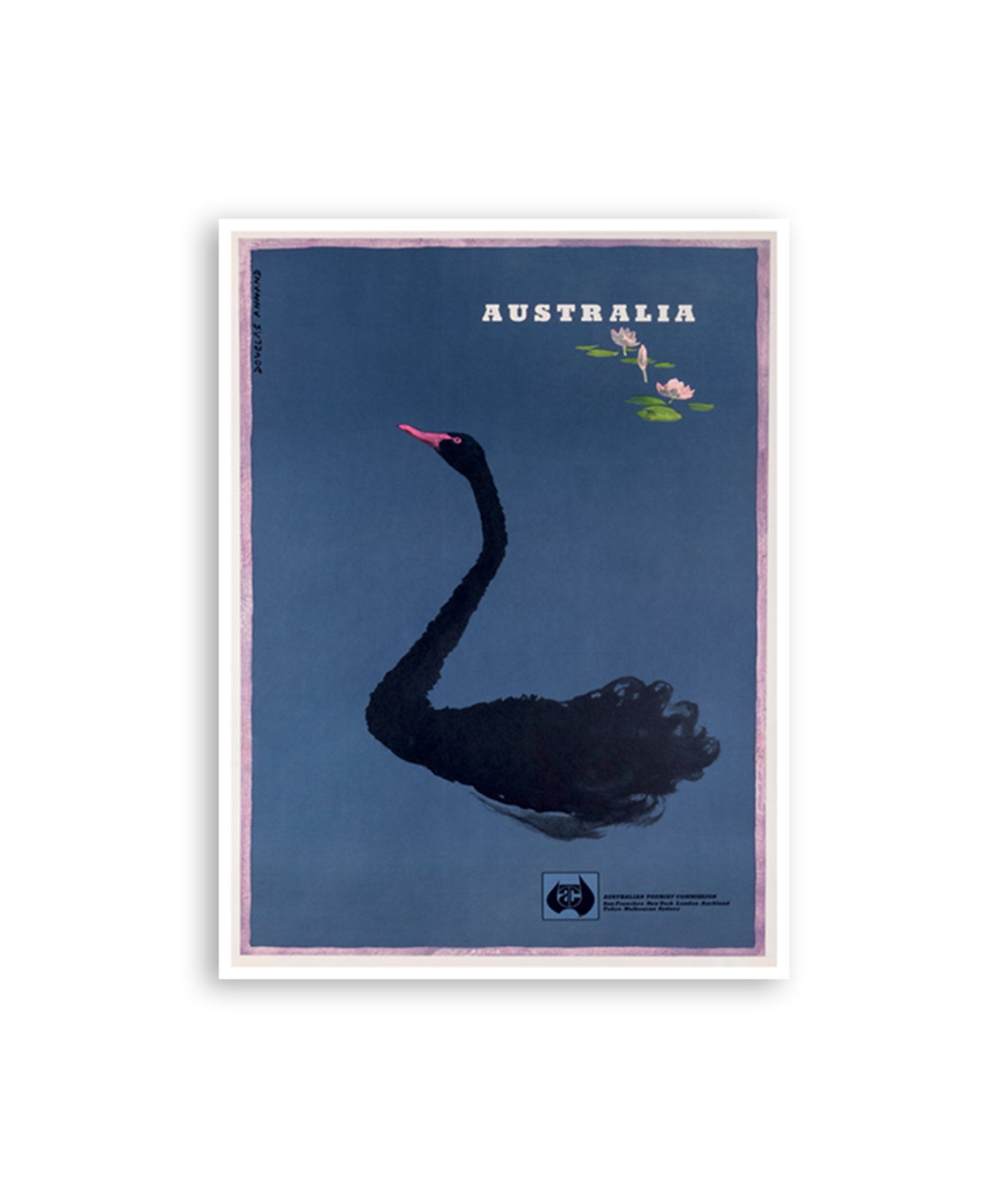 Australia Black Swan Lily Pond Vintage Airline Travel Poster