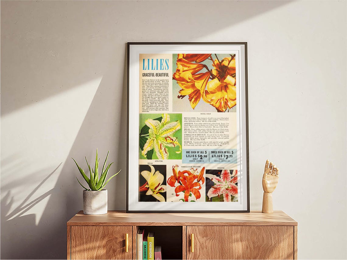 Lilies Graceful Beautiful Vintage Seed Catalog Flower Varieties Poster - Image 3