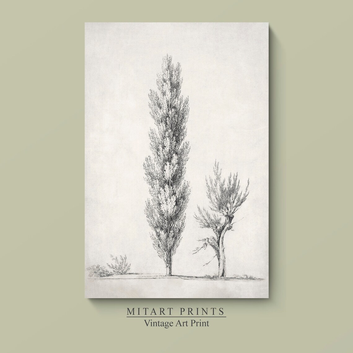 Antique Rustic Tree Sketch, Vintage Landscape Art Print - Image 2