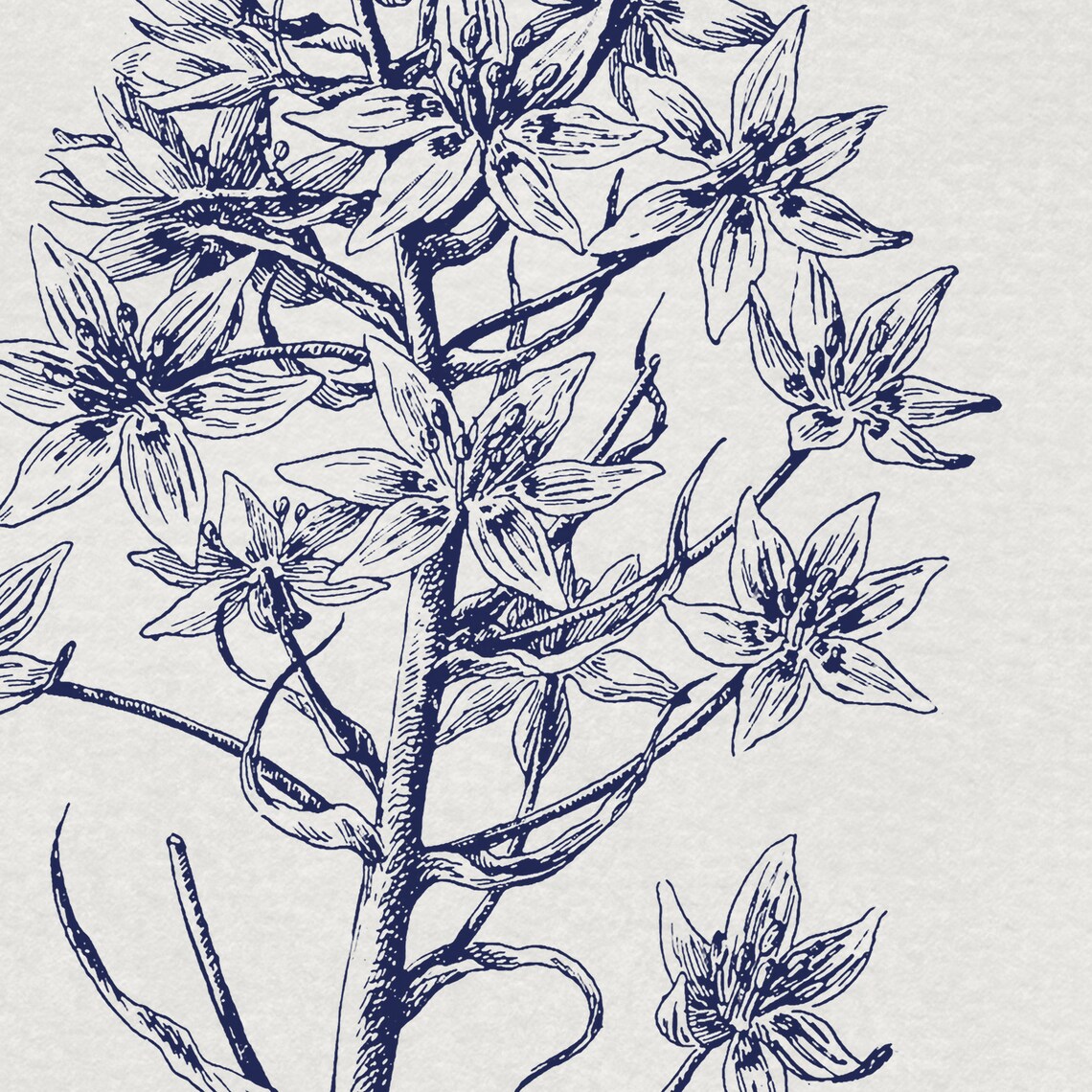 Antique Neutral Flower Sketch Vintage Botanical Art Print - Image 4