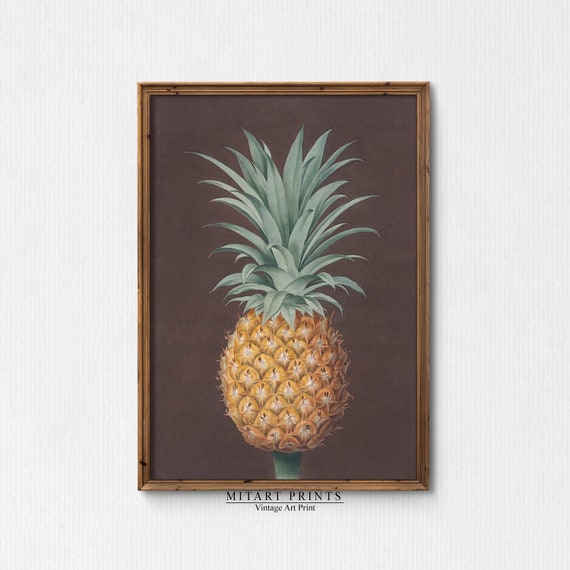 Antique Pineapple Art Vintage Still Life Painting Moody Pineapple Print Tropical Fruit Painting Farmhouse Kitchen Painting