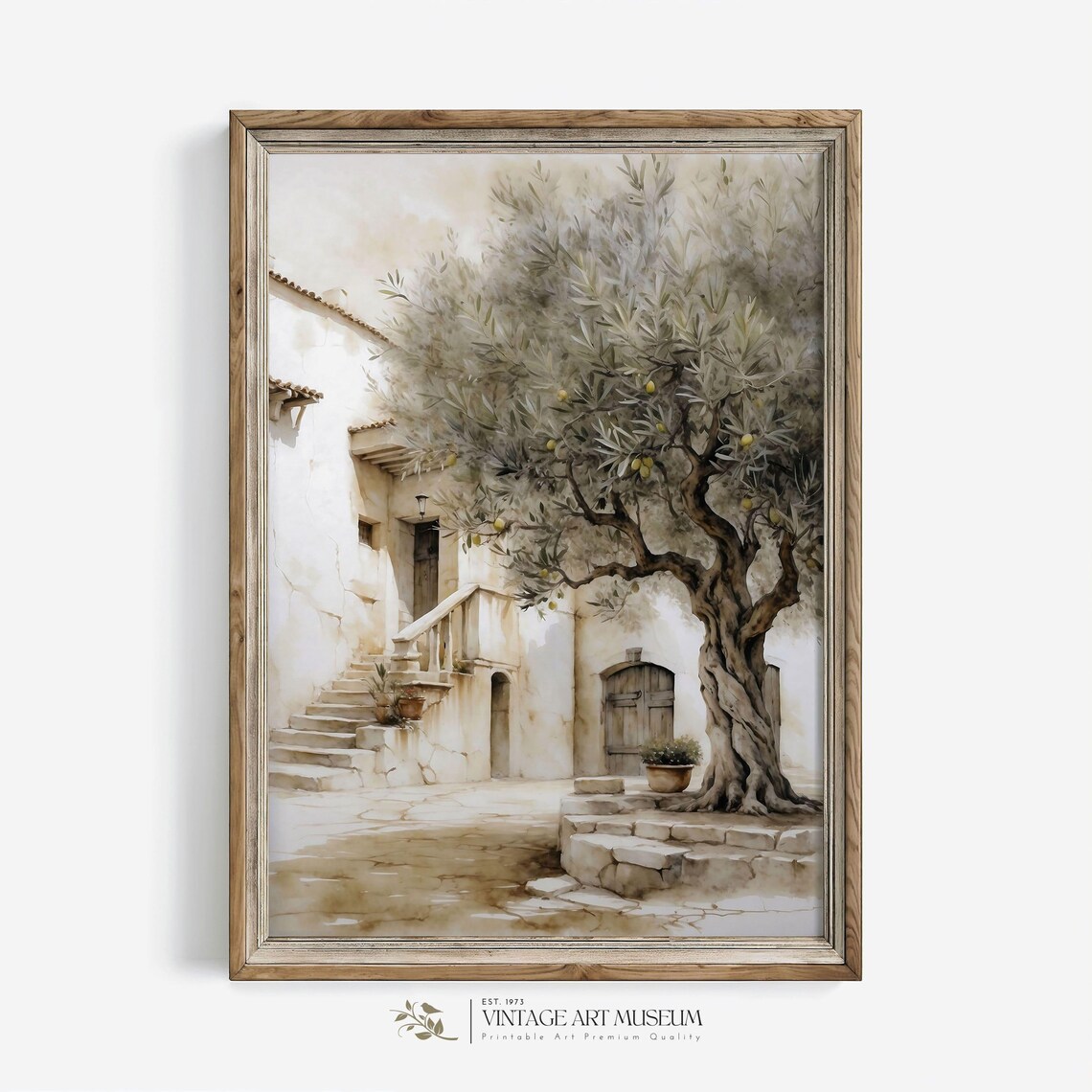 Vintage Olive Tree in Greece, Farmhouse Kitchen Art Print