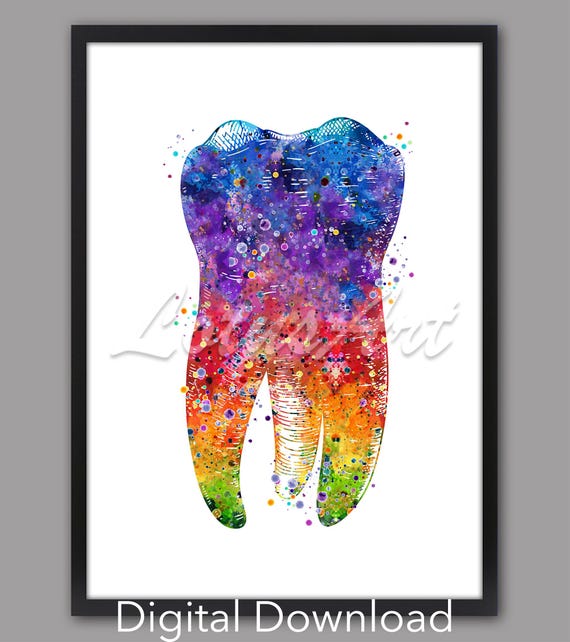 Tooth Anatomy Art Dental Watercolor Print Tooth Anatomical Medical Prints Dentist Gift