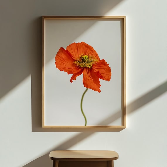 Red Poppy Flower Print Minimalist Botanical Wall Art Modern Floral Poster Closeup Bloom