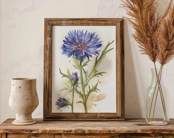 Blue Cornflower and Buds Watercolor Rustic Botanical Art Poster