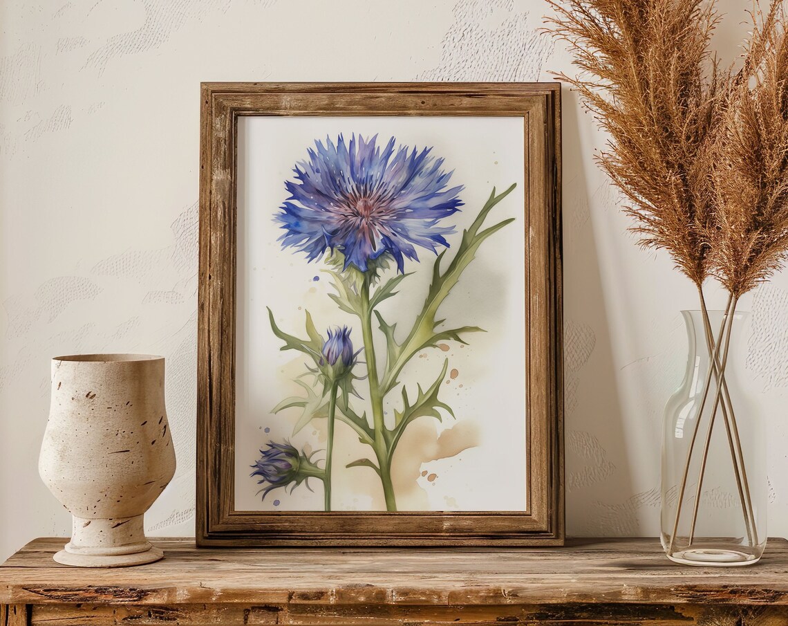 Blue Cornflower and Buds Watercolor Rustic Botanical Art Poster