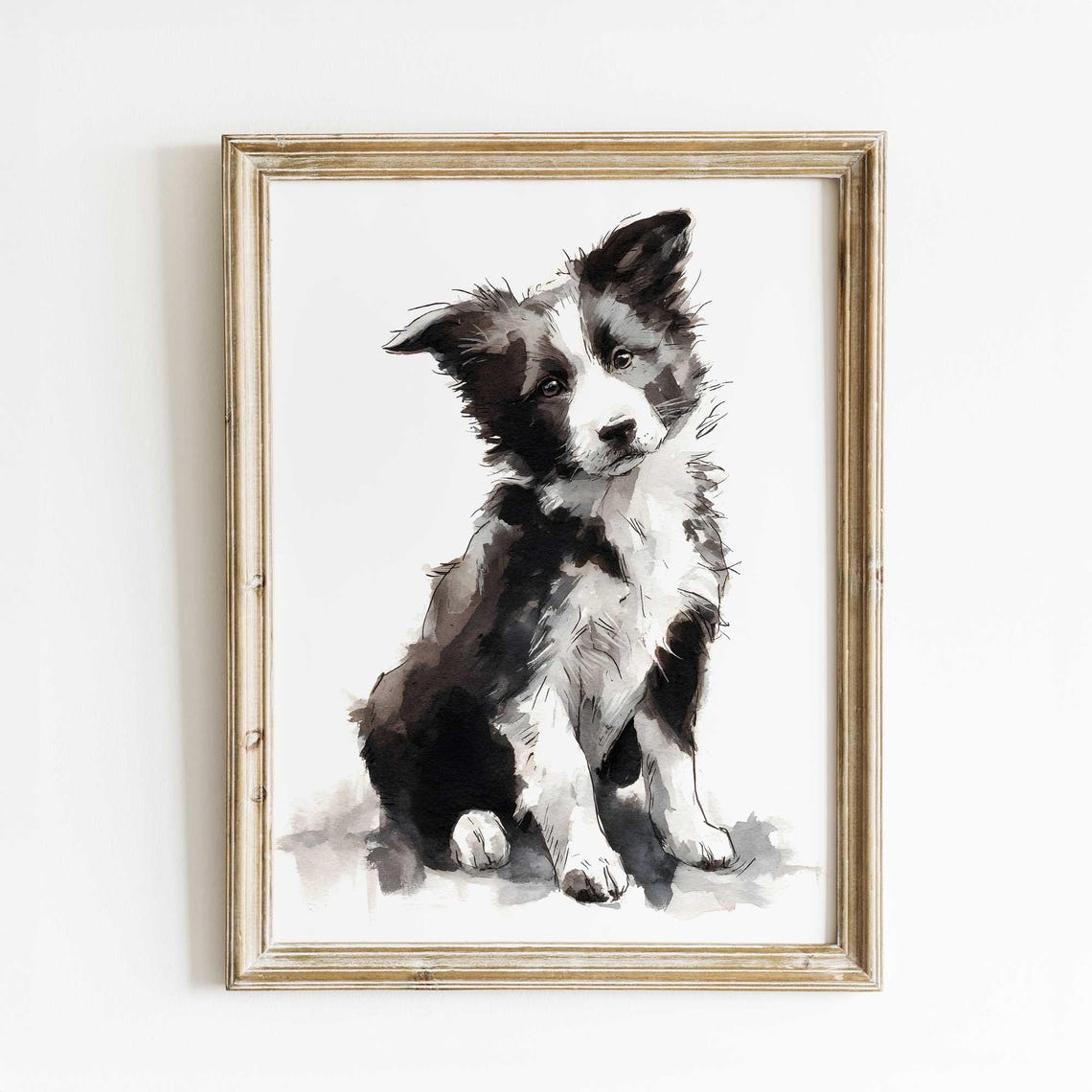 Curious Border Collie Puppy Black White Watercolor Pet Poster