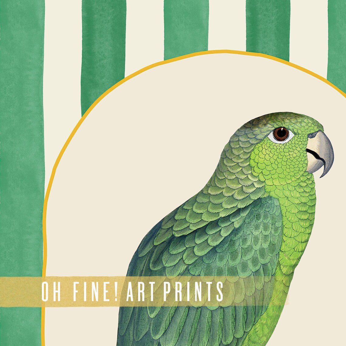 Green Striped Parrot, Maximalist Vintage Bird Art Print - Image 3