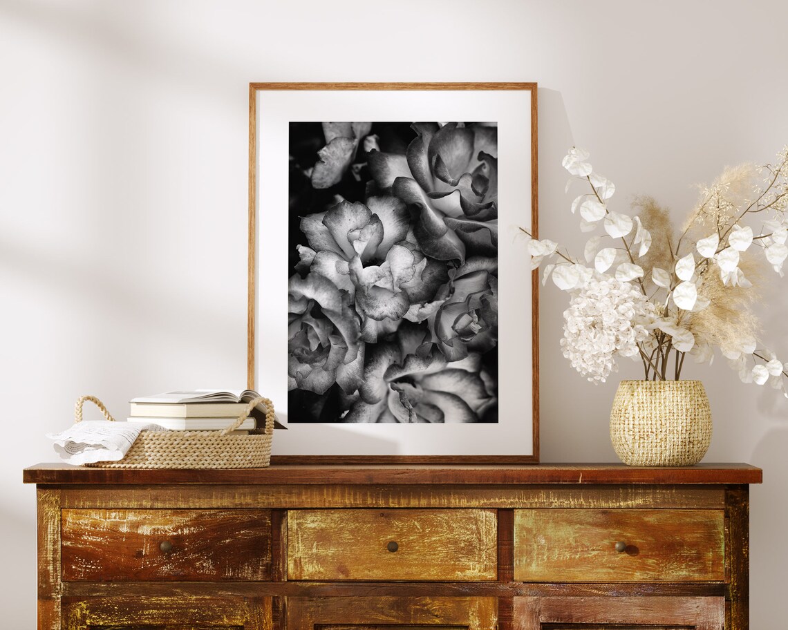 Black And White Rose Bloom Close Up Botanical Photography Print - Image 3