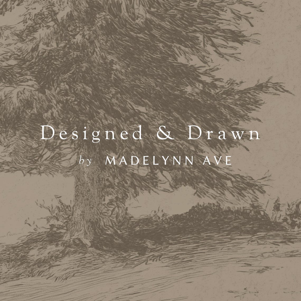 European Pine Study II Full Pine Pencil Sketch Drawing Poster - Image 6