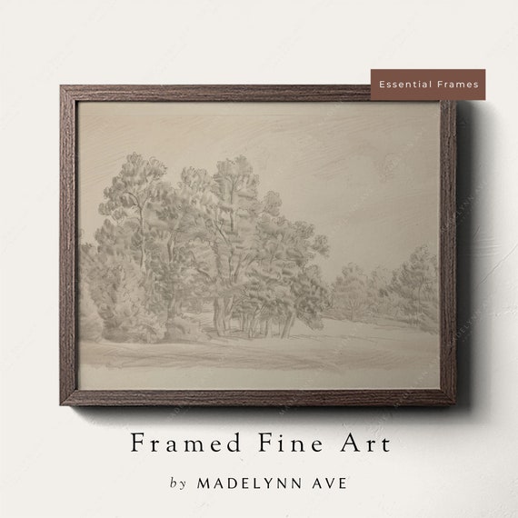Framed Neutral Landscape Drawing Art Print Wall Art Vintage Style Sketch For Living Room Entryway Modern Tasteful Fall Decor Tree Grove