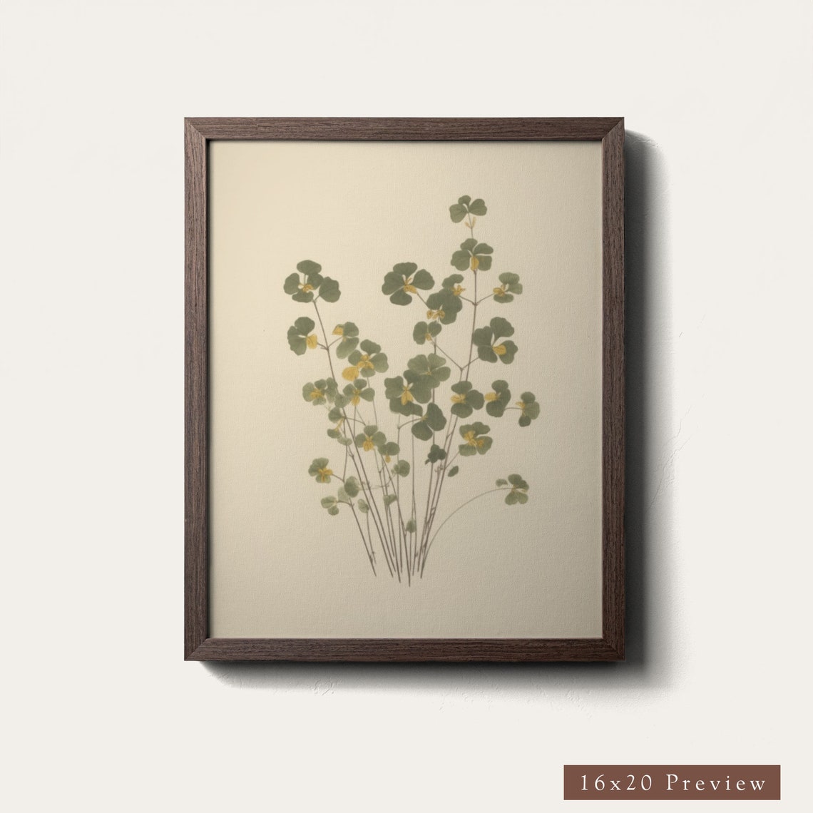 Clover Stem Botanical Pressed Yellow Blossom Vintage Art Poster - Image 4