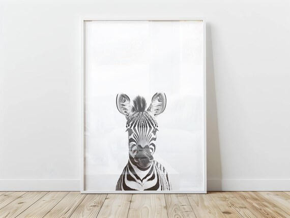 Baby Zebra Black and White Nursery Animal Photography Art Poster