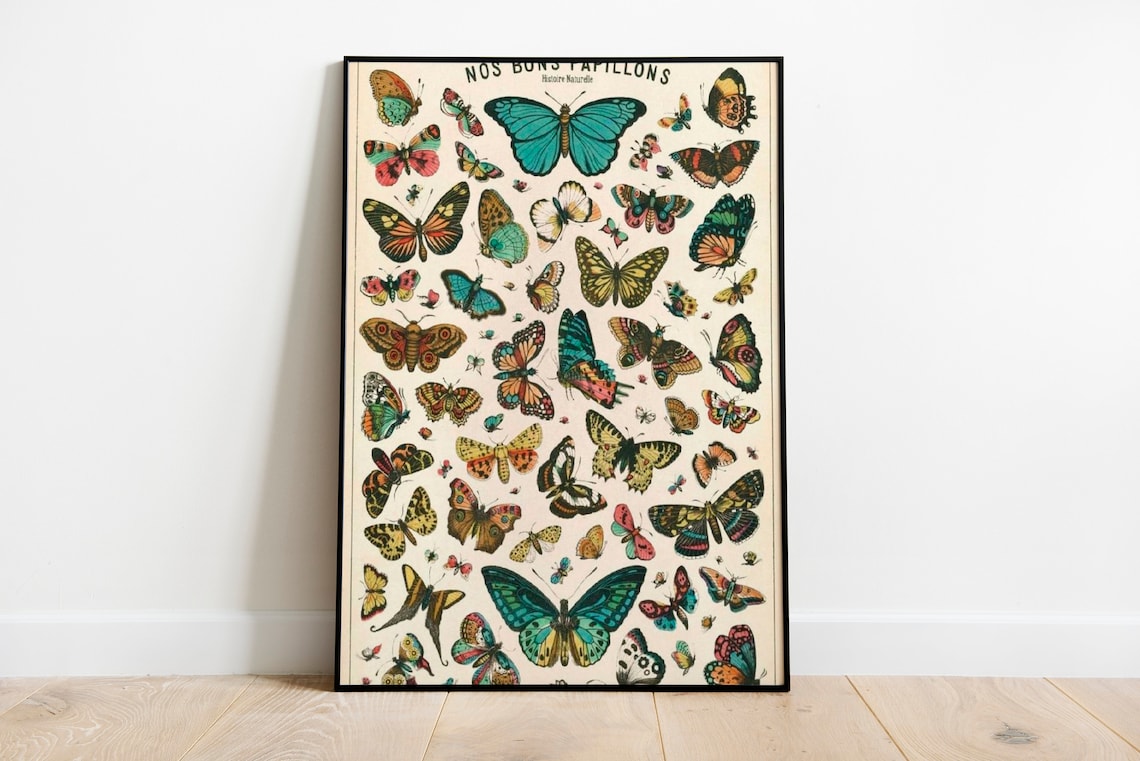 Natural History Butterflies Vintage Art Deco Poster