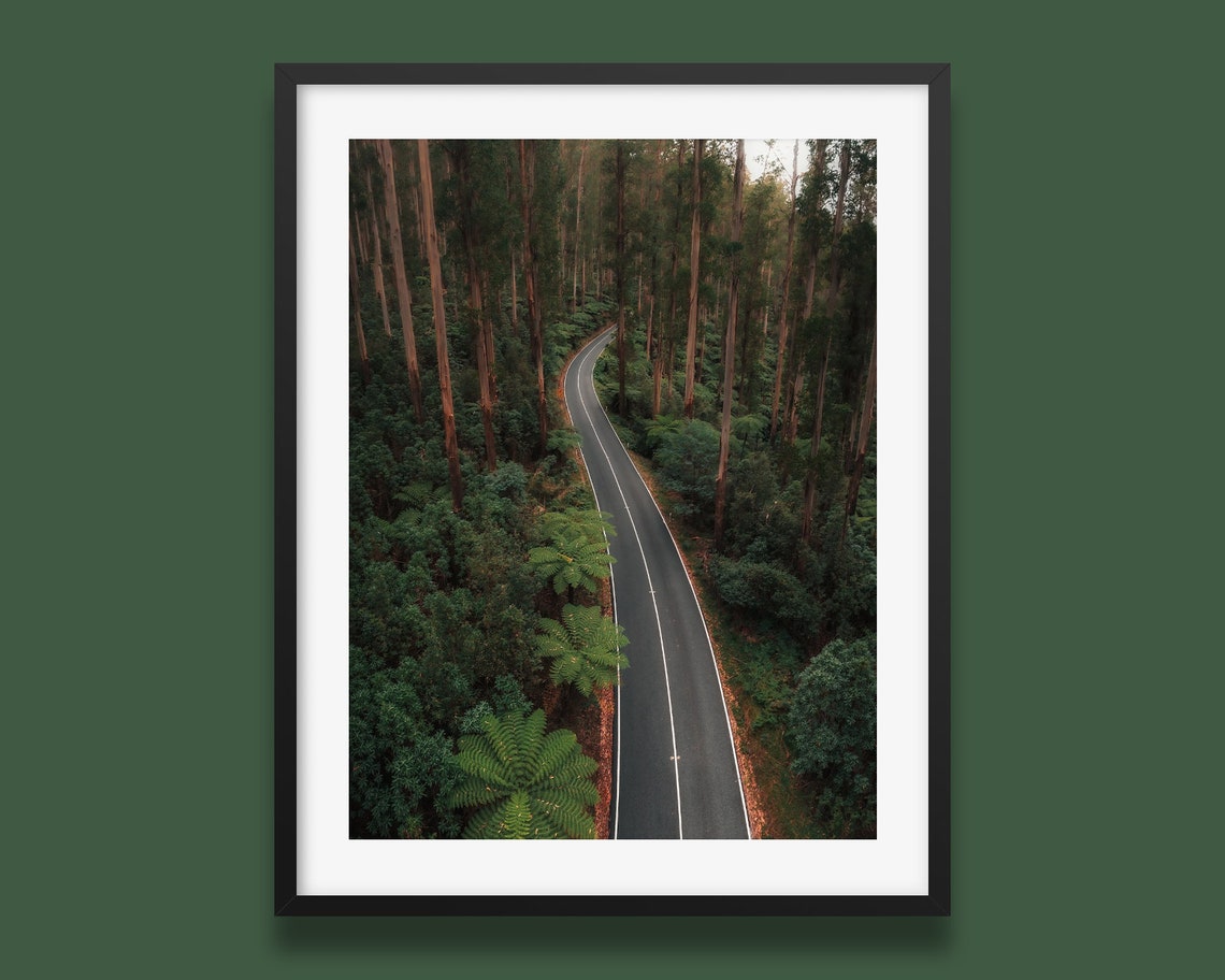 Black Spur Victoria Forest Road Aerial Tall Trees Winding Drive Poster