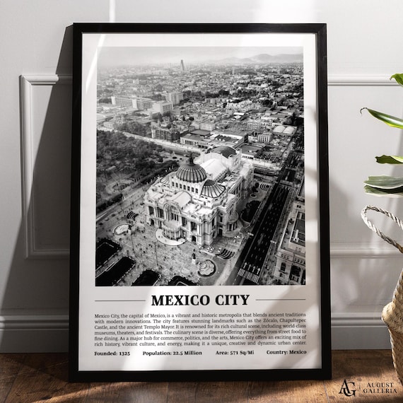 Mexico City Black and White Bellas Artes Aerial Cityscape Poster