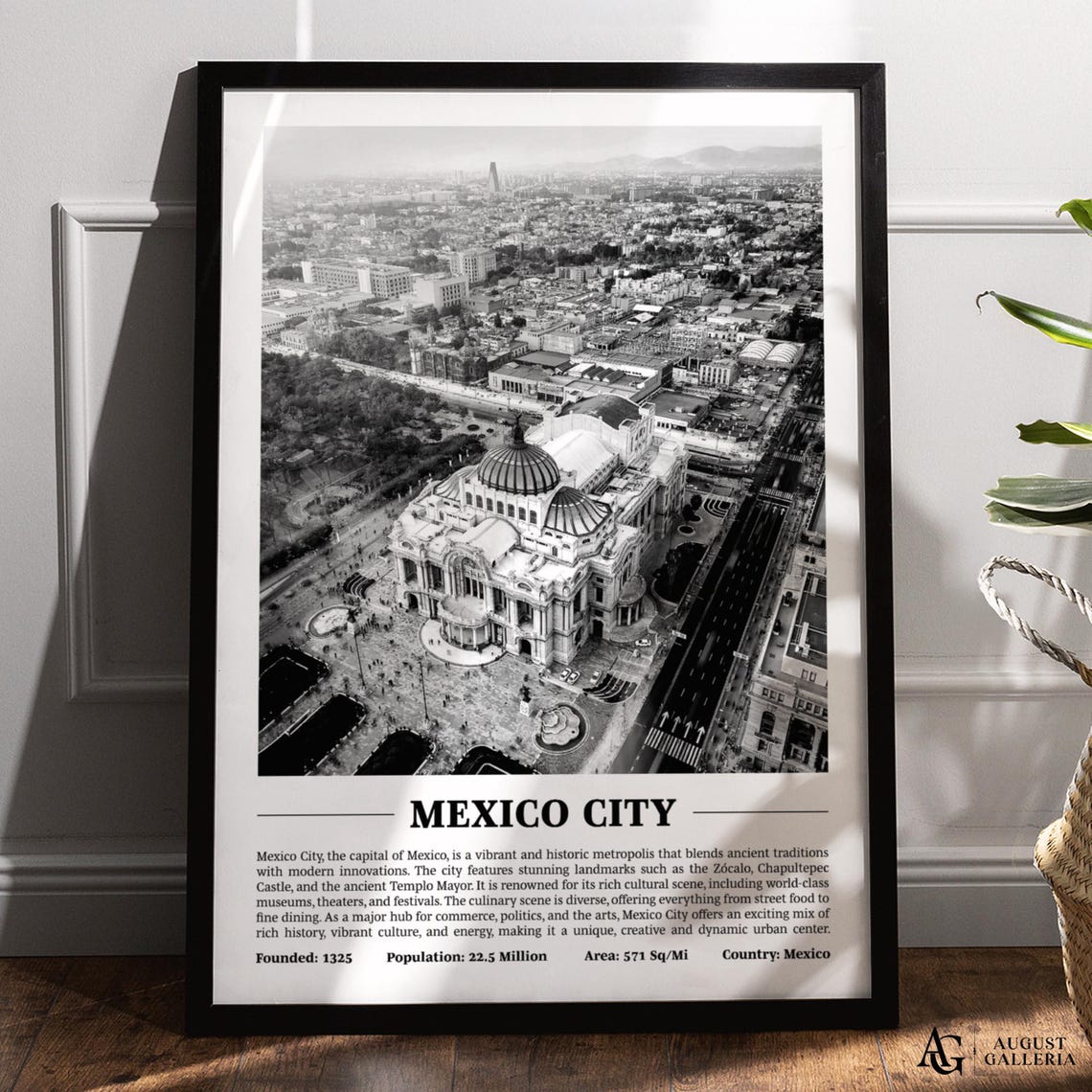 Mexico City Black and White Bellas Artes Aerial Cityscape Poster