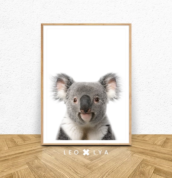 Koala Print for Nursery Decor, Australian Animal Art Print