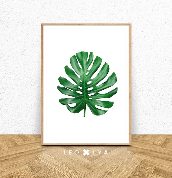 Monstera Print Tropical Leaf Green Leaf Print Botanical Print Tropical Leaves Gorgeous Monstera Leaf Wall Print Art Botanical Art