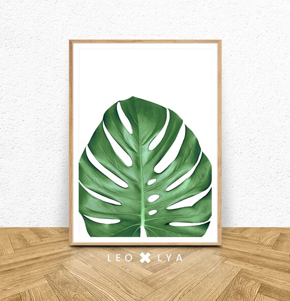 Botanical Print Monstera Deliciosa Monstera Leaf Tropical Leaf Nature Photography Tropical Print Leaf Print Tropical Leaf Art