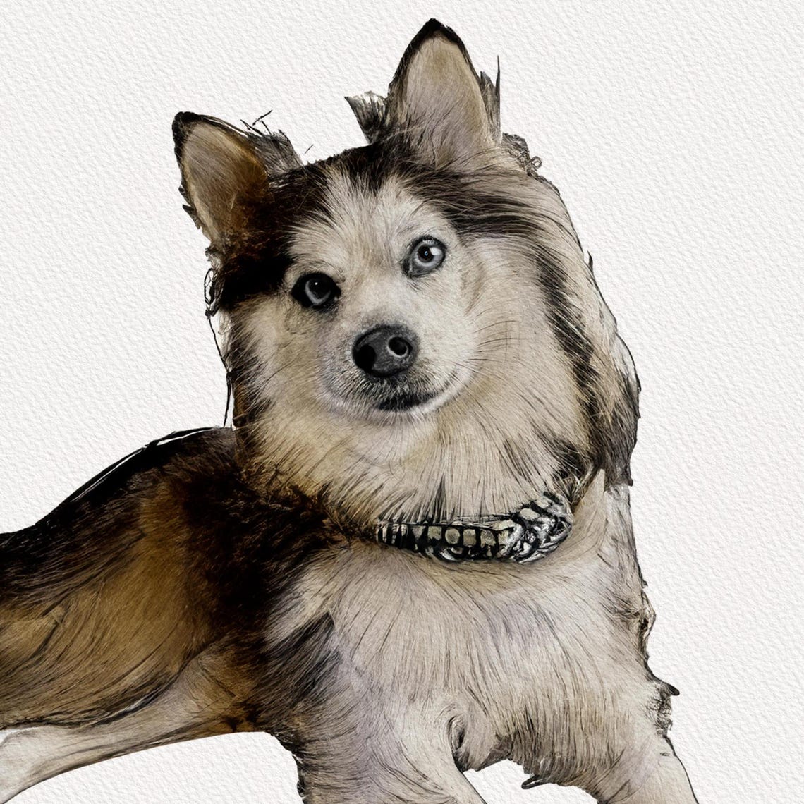 Custom Dog Portrait Painterly Blue Eyed Puppy Pet Memorial Wall Art