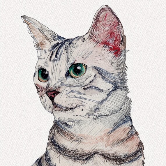 Custom Cat Portrait Sketch White Silver Tabby Green Eyes Cat Wall Art