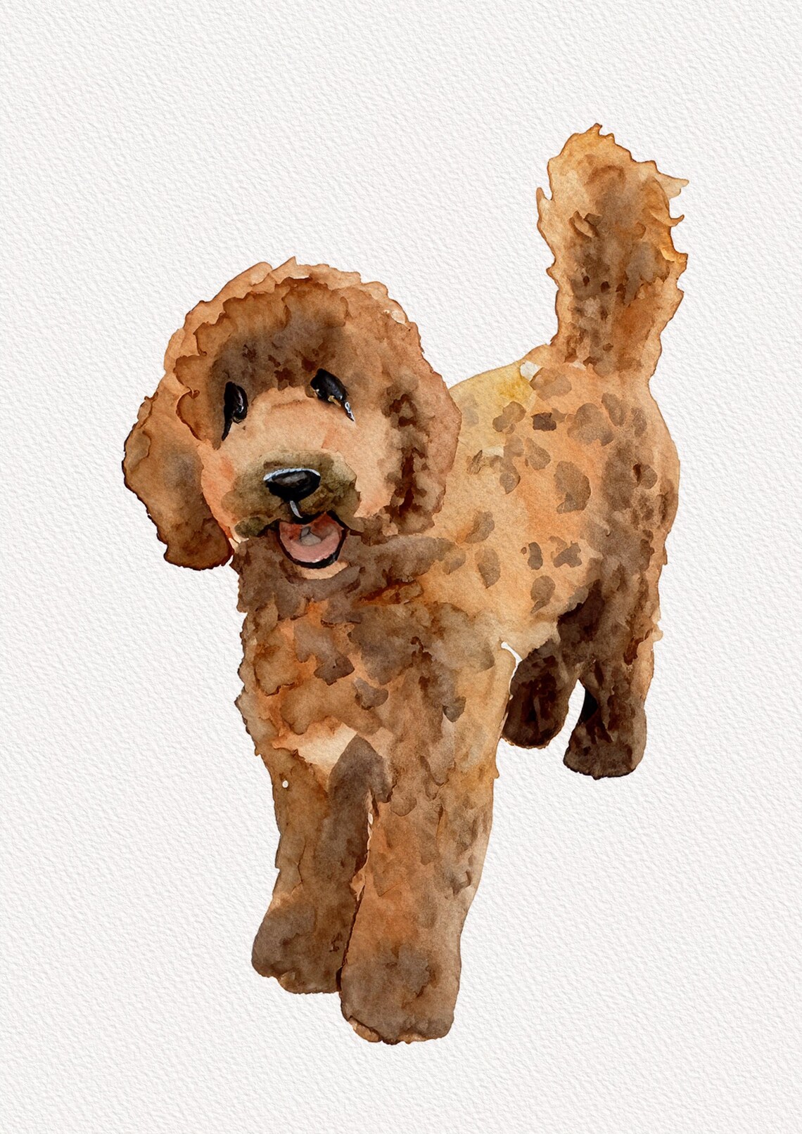 Brown Labradoodle Watercolor Puppy Portrait Curly Coat Art Print