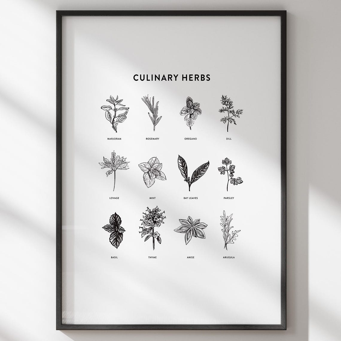Culinary Herbs Botanical Chart Kitchen Vintage Style Wall Poster