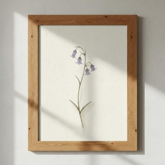 Bluebell Botanical Print Woodland Wildflower Art