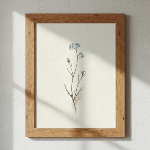 Forget Me Not Single Branch Minimalist Blue Wildflower Poster