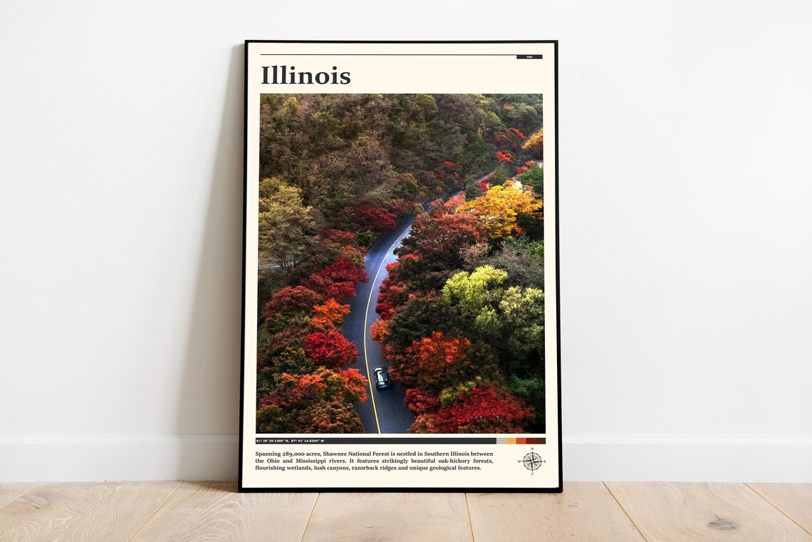 Illinois Shawnee National Forest Fall Colors Aerial Road View Poster
